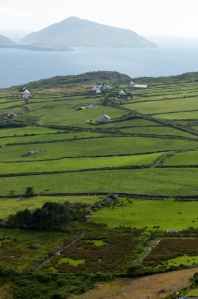 Beautiful Green Fields within the Ring of Kerry